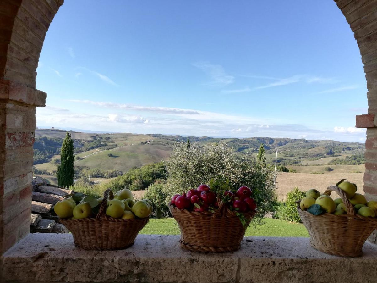 Agriturismo MONSOLE - Montalcino Exterior foto