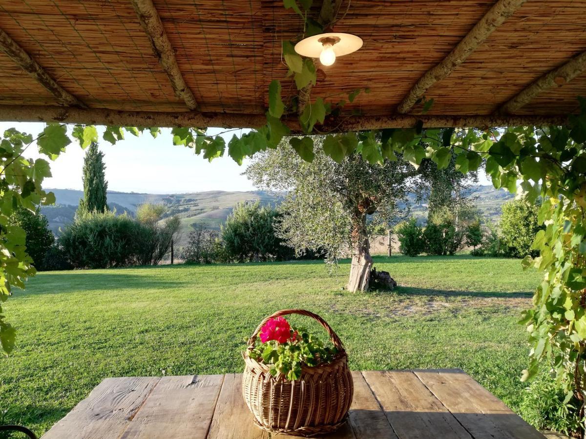 Agriturismo MONSOLE - Montalcino Exterior foto